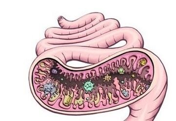 Worms in the belly