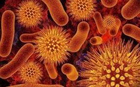 Types of parasites in humans